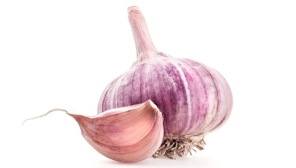 garlic-01 garlic-01